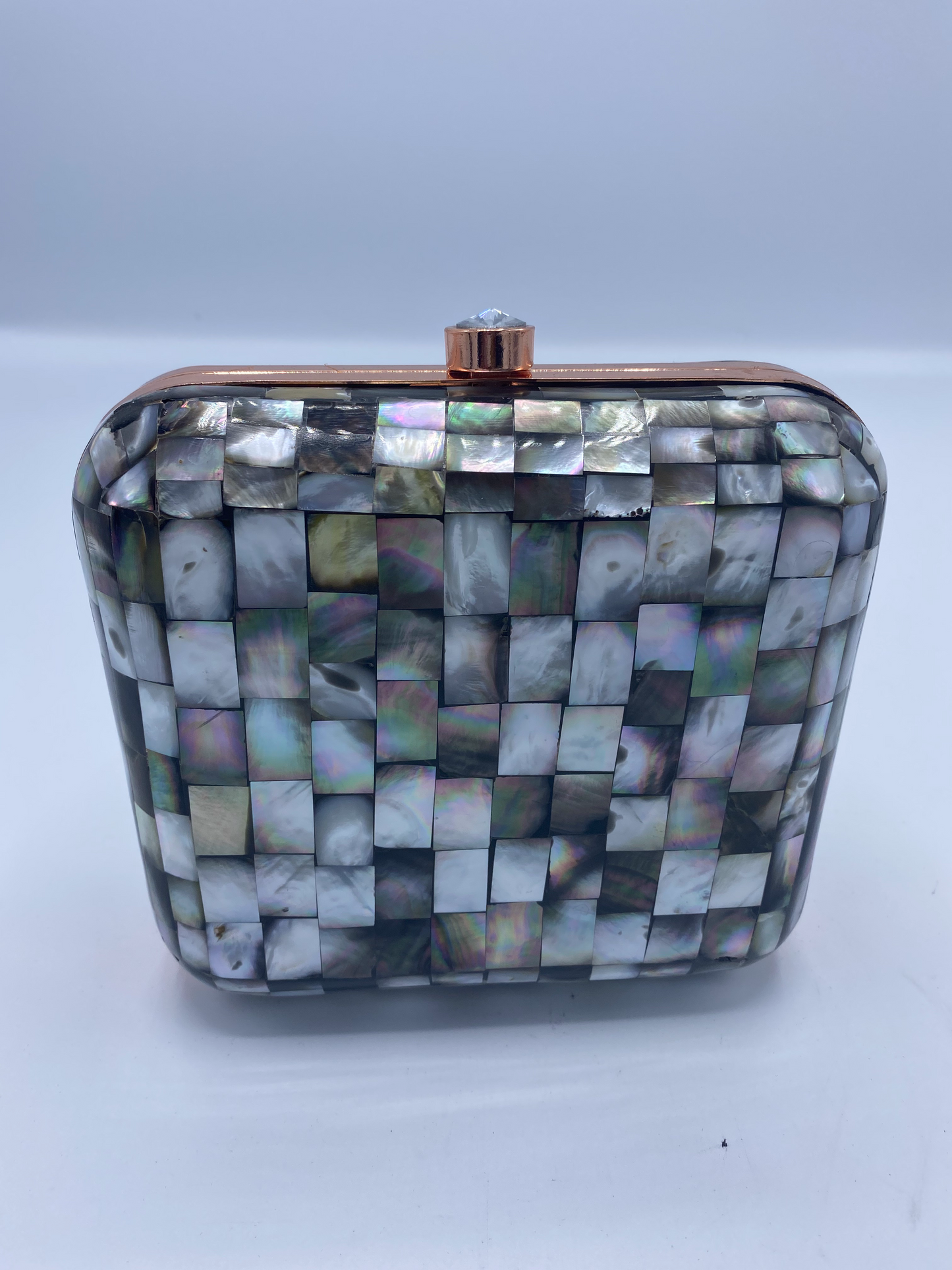 Handmade Seashell with Mother Of Pearl and Metal Clutch