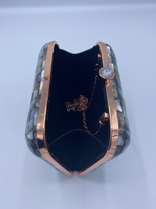 Handmade Seashell with Mother Of Pearl and Metal Clutch