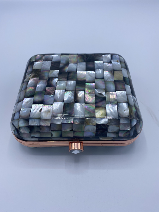 Handmade Seashell with Mother Of Pearl and Metal Clutch